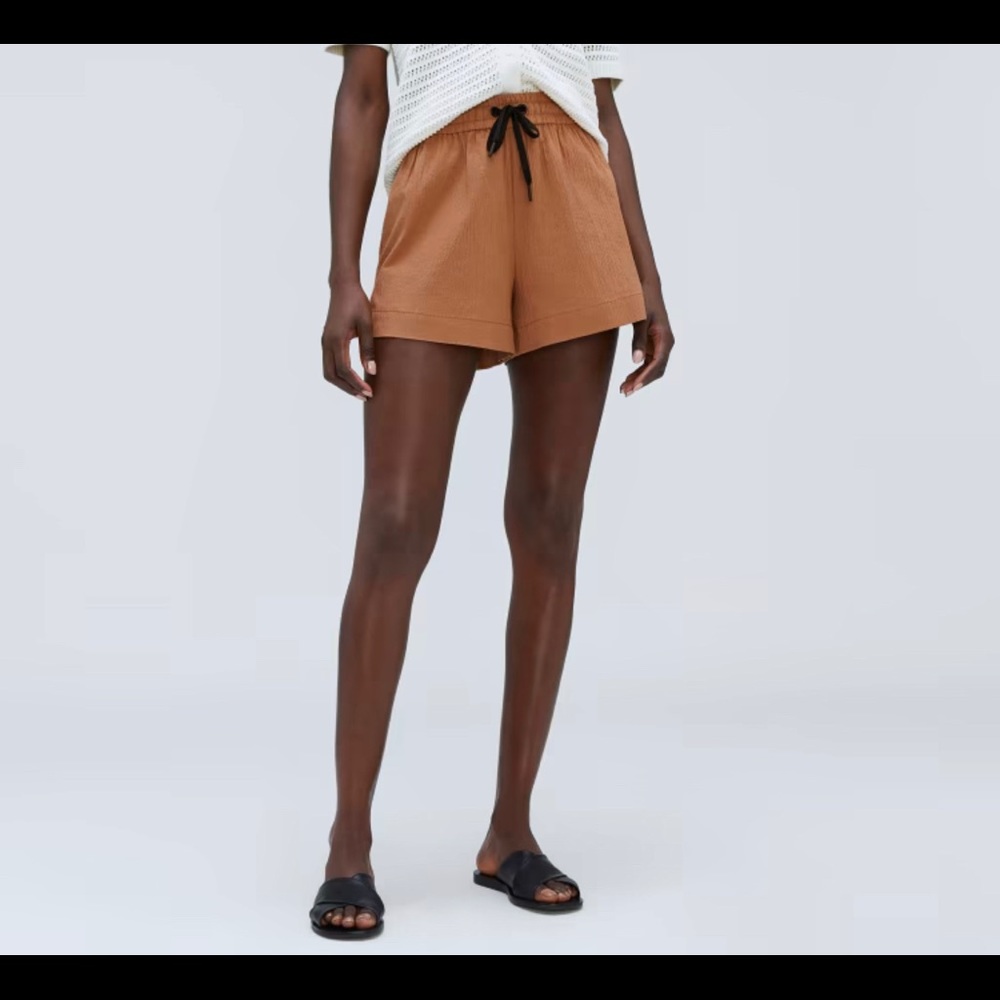 NWT Everlane Seersucker Boxer Shorts